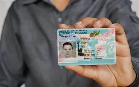 carnet de conducir comprar